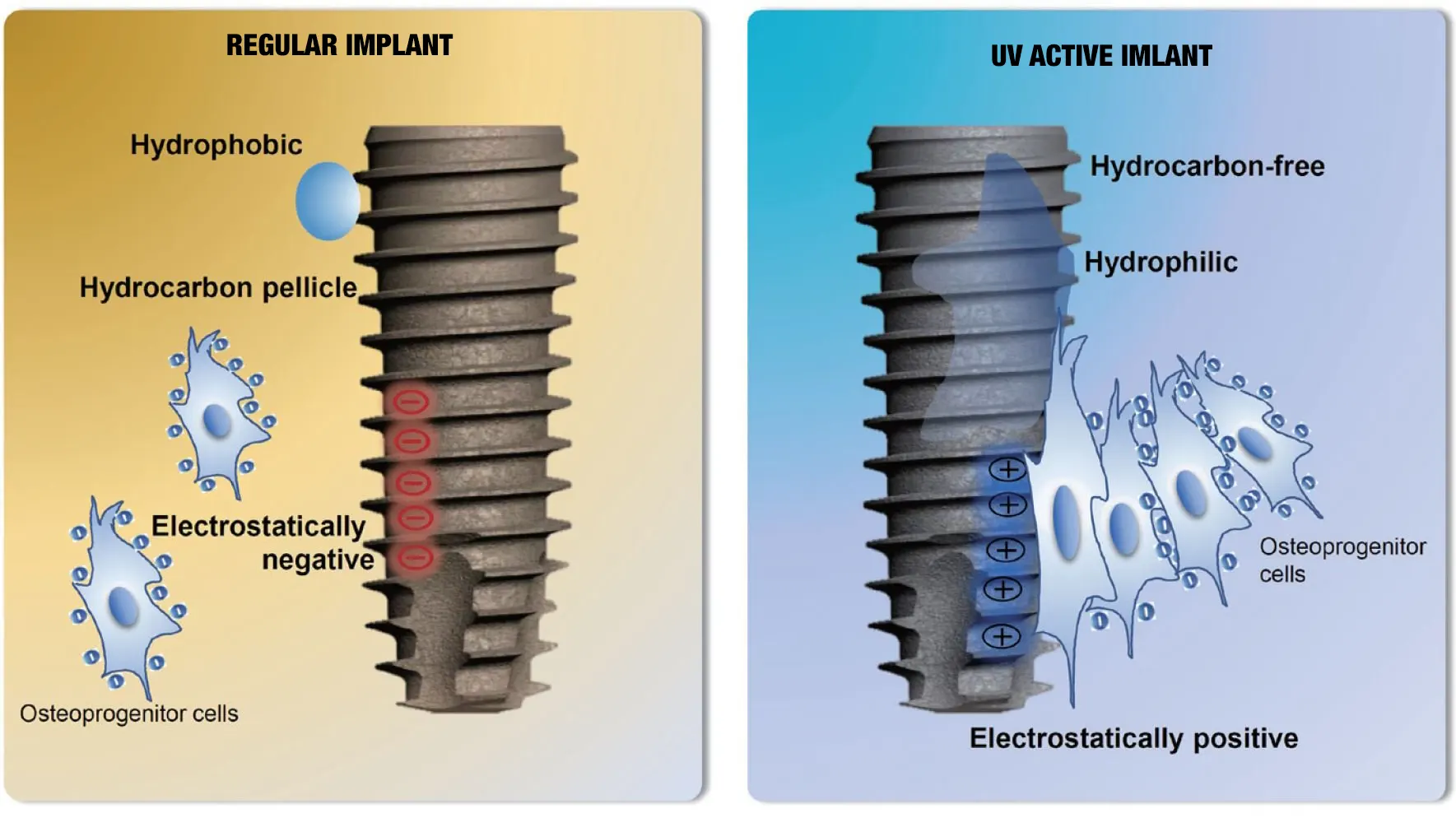 UV İmplant ile All-on-4 ve All-on-6 tedavileri